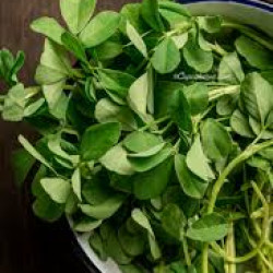 Methi