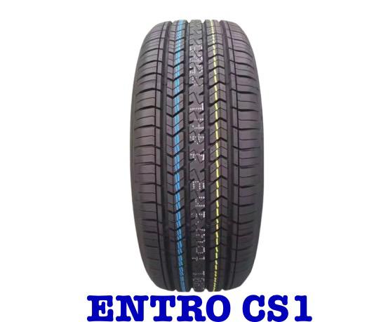 ENTRO CS1